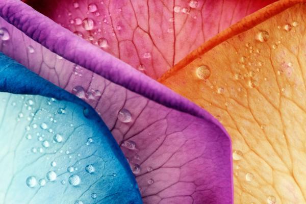 Mark Johnson_16600_400