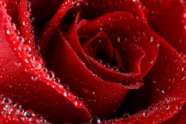 Mark Johnson_20600_400