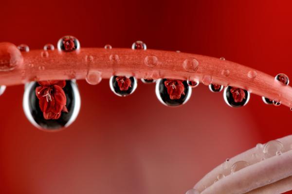 Mark Johnson_21600_400