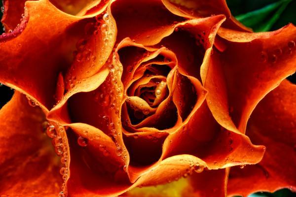 Mark Johnson_23600_400