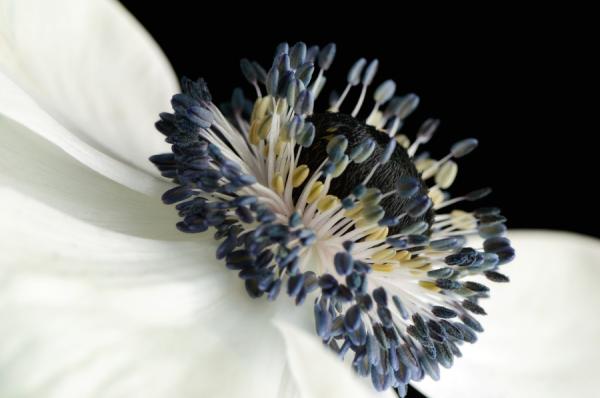 Mark Johnson_24600_398