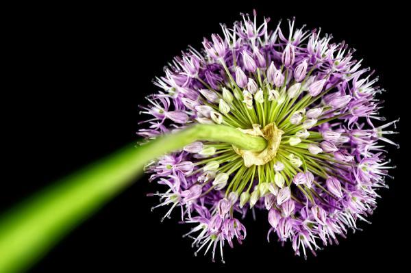 Mark Johnson_25600_399