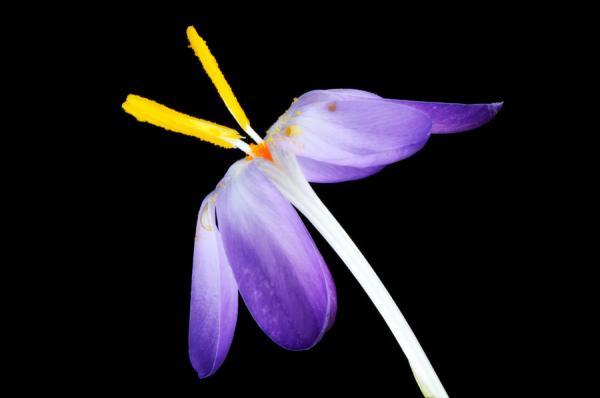 Mark Johnson_27600_398