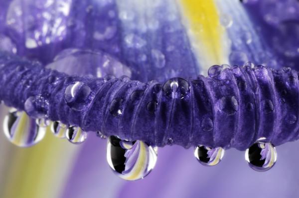 Mark Johnson_28600_398