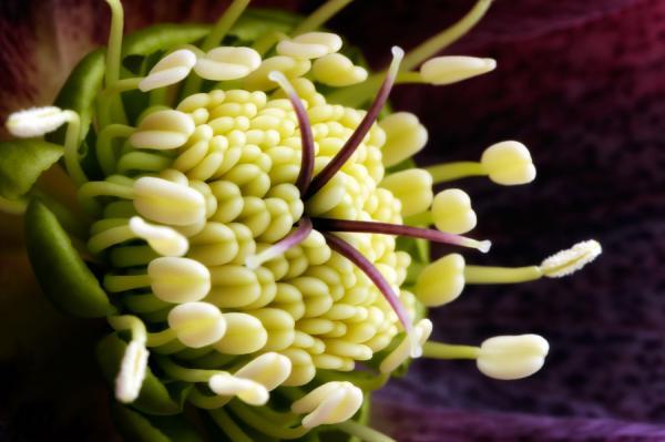 Mark Johnson_29600_399