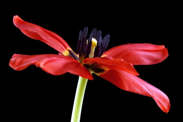 Mark Johnson_32600_400