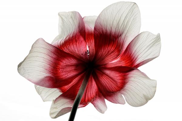 Mark Johnson_5600_400