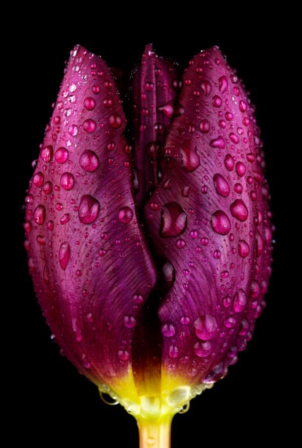 Mark Johnson_6600_889