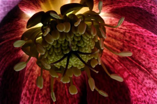 Mark Johnson_7600_398