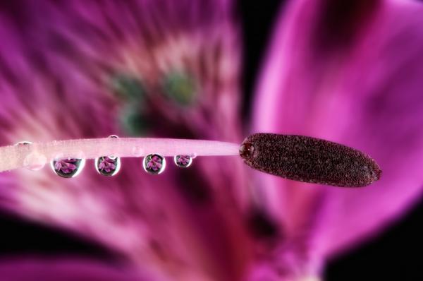 Mark Johnson_8600_398