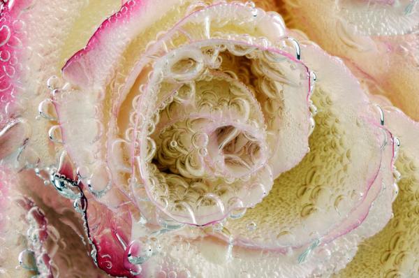 Mark Johnson_9600_398