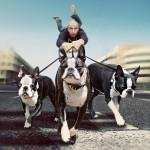 Crazy Photography by Shawn Van Daele