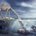 Photo Manipulations by Sulaiman almawash