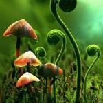 3D Artworks by Axel Ritter