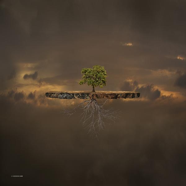 Difference Between Appearance and Essence by Hossein Zare