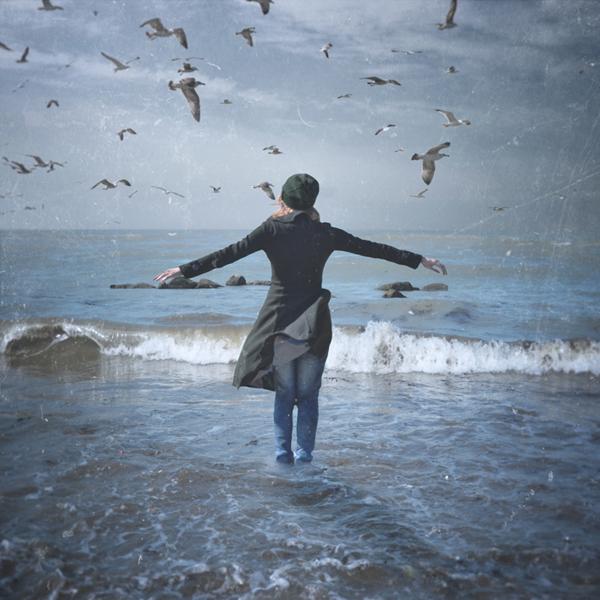 Dream To Fly by Hossein Zare