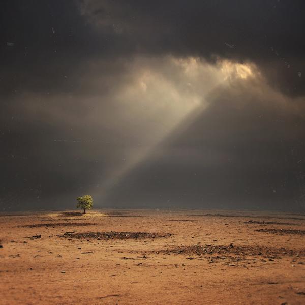 Hope by Hossein Zare