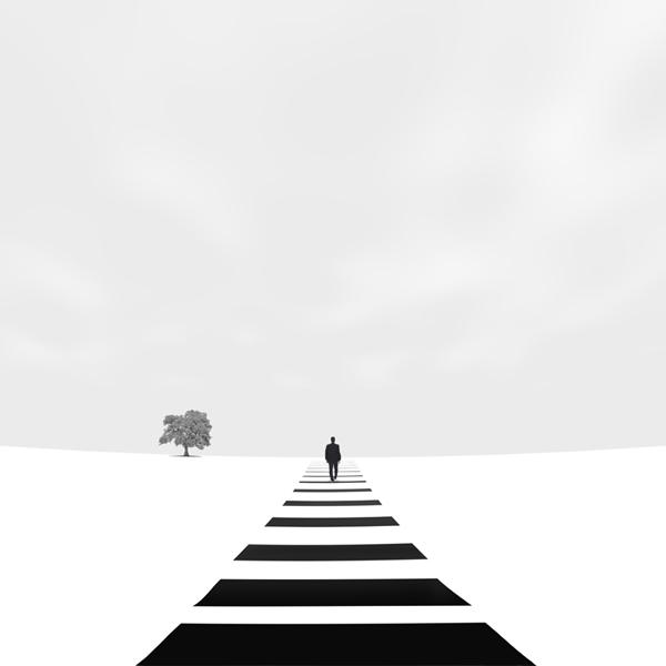 Hossein Zare 2