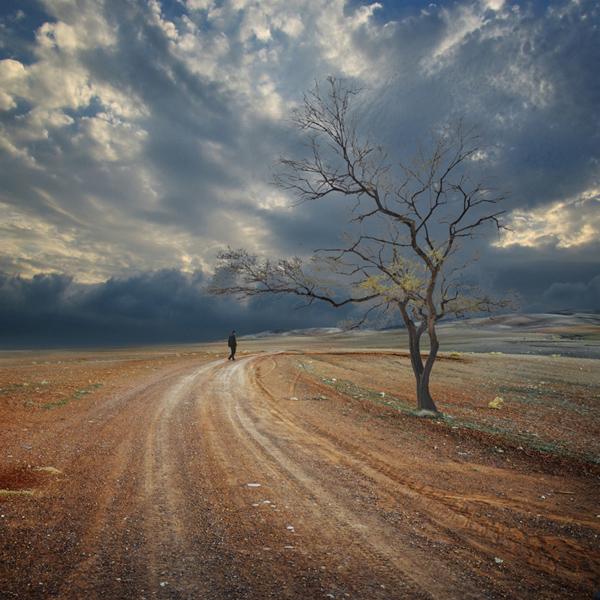 Hossein Zare 4