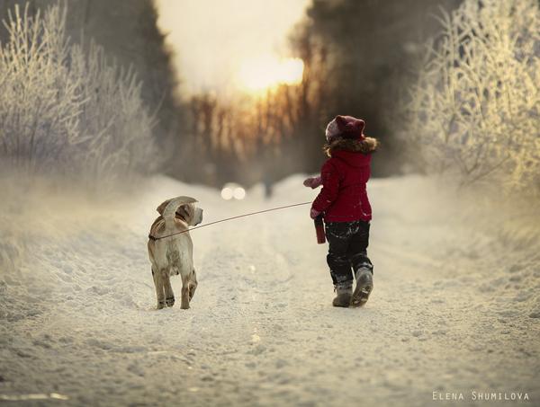 Last winter walk.... by Elena Shumilova