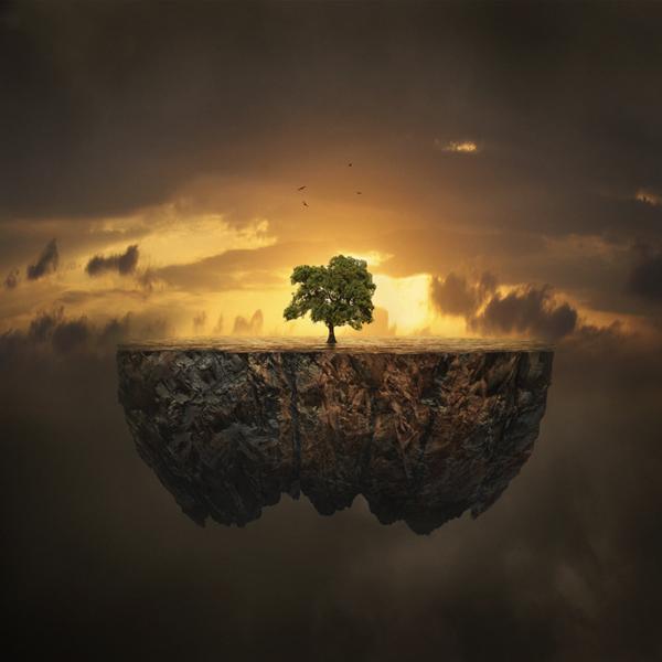 Life by Hossein Zare