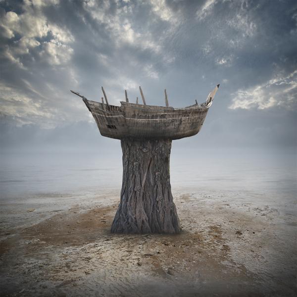 Noah's Ark by Hossein Zare