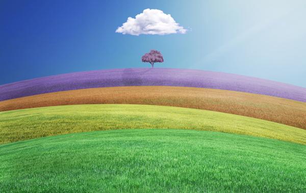 colorful land by Hossein Zare