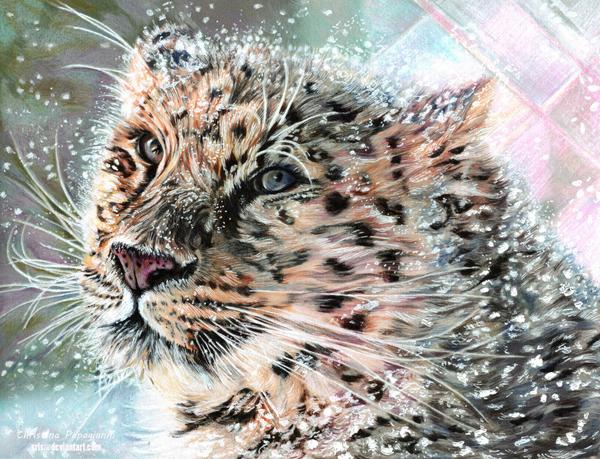 don_t_look_back_by_xrls