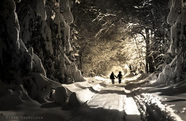 through the snow... by Elena Shumilova