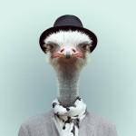Animals Portraits by Yago Partal