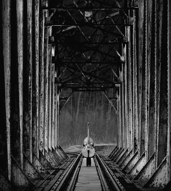 contrabass train by Sebastian Luczywo