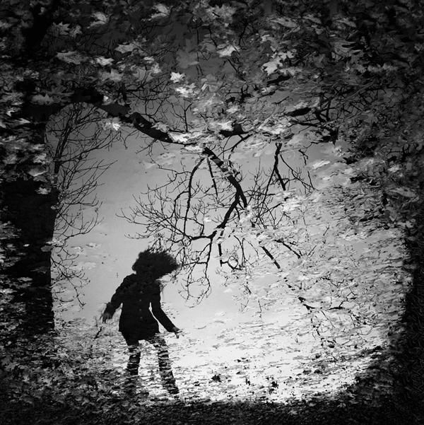 dancing black leaf by Sebastian Luczywo