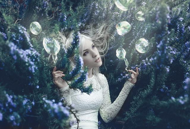 fragile dreams still fly by Kindra Nikole