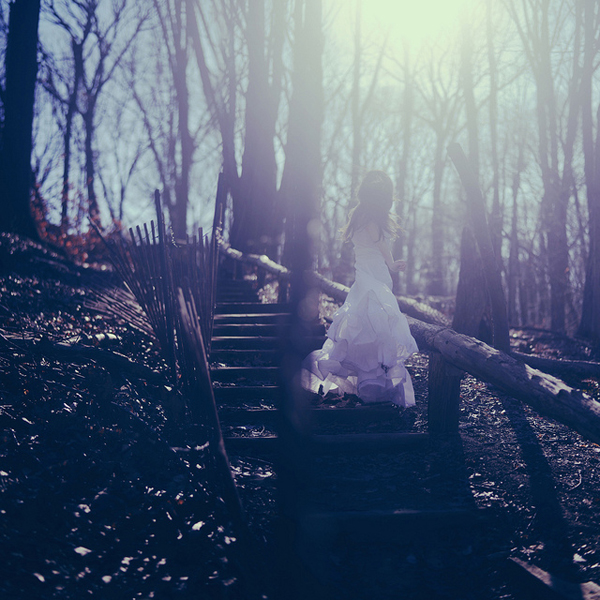 once more to the stars by Gina Vasquez