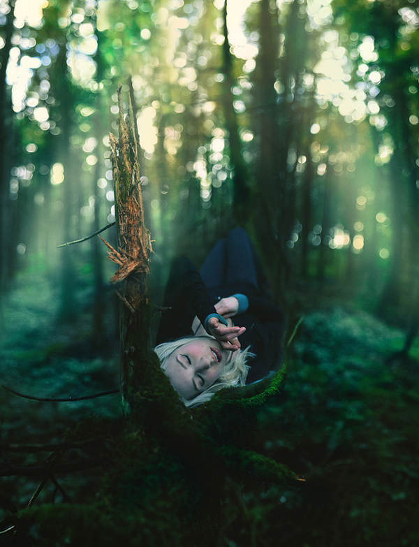 to sleep in trees and dream of stars by Kindra Nikole