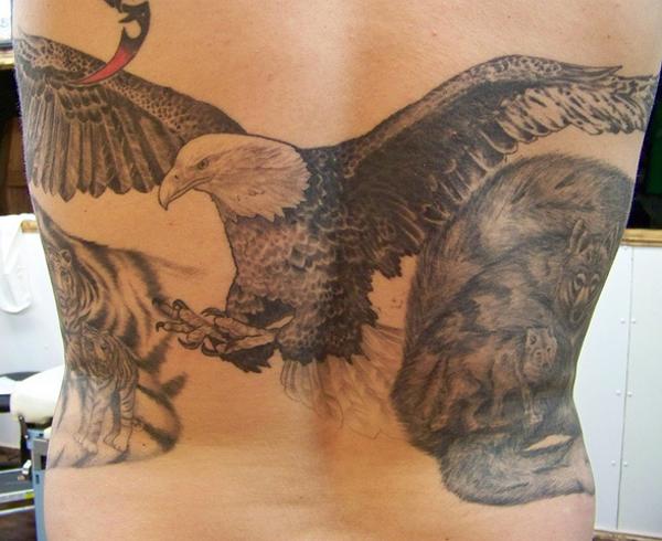 Eagle Tattoo.