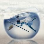 Gorgeous Photography by Dmitry Laudin