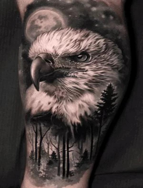 Harpy eagle design I completed today  rTattooDesigns