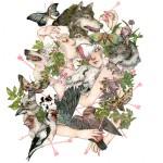 Illustrations by Fumi Nakamura