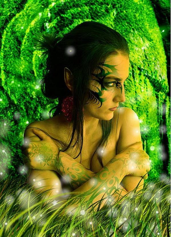 In-The-Enchanted-Forest.jpg