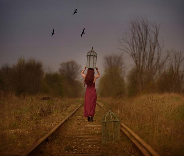 Caged bird by Patty Maher