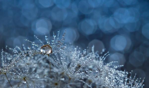 Grace by_ Miki Asai
