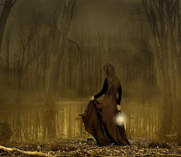 She shines a light by Patty Maher