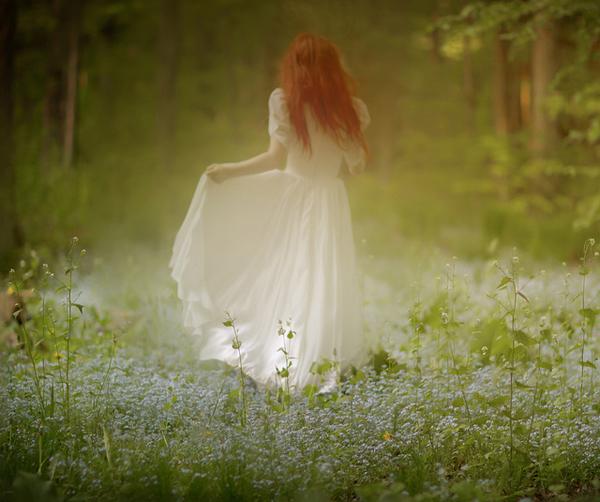 The dream by Patty Maher