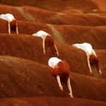 Expressive Photography by Patty Maher