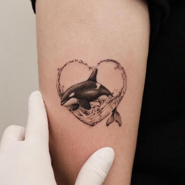 Water heart and dolphin