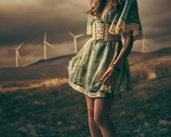 Windmills and the Willow by Jaime Ibarra