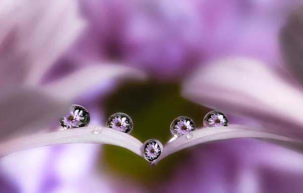 etter Together by_ Miki Asai