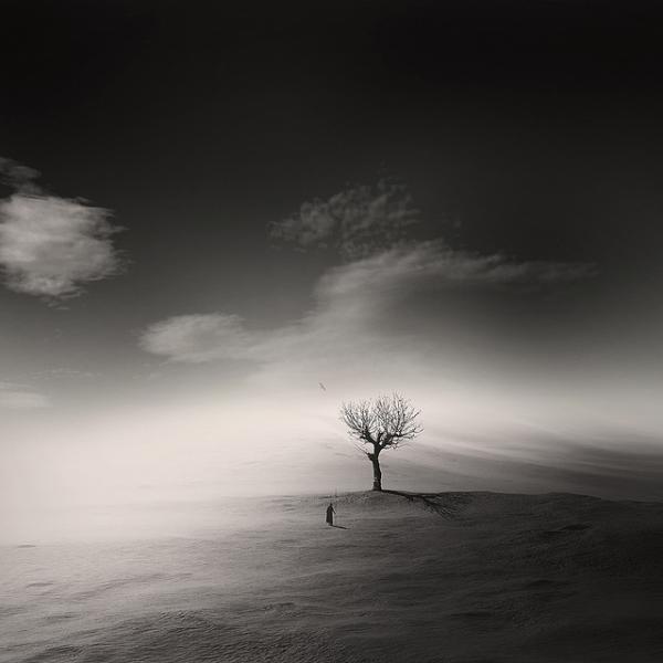 solitude_by_George Christakis600_600