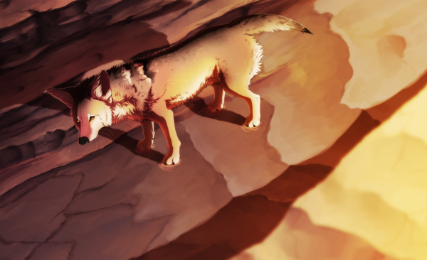 sunset_canyon_by_daesiy